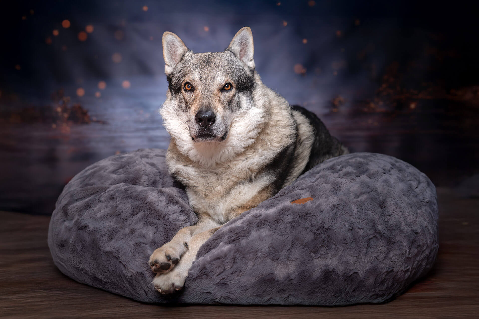 frech_pfoto_orell_inspiration_seelenhund_38.jpg